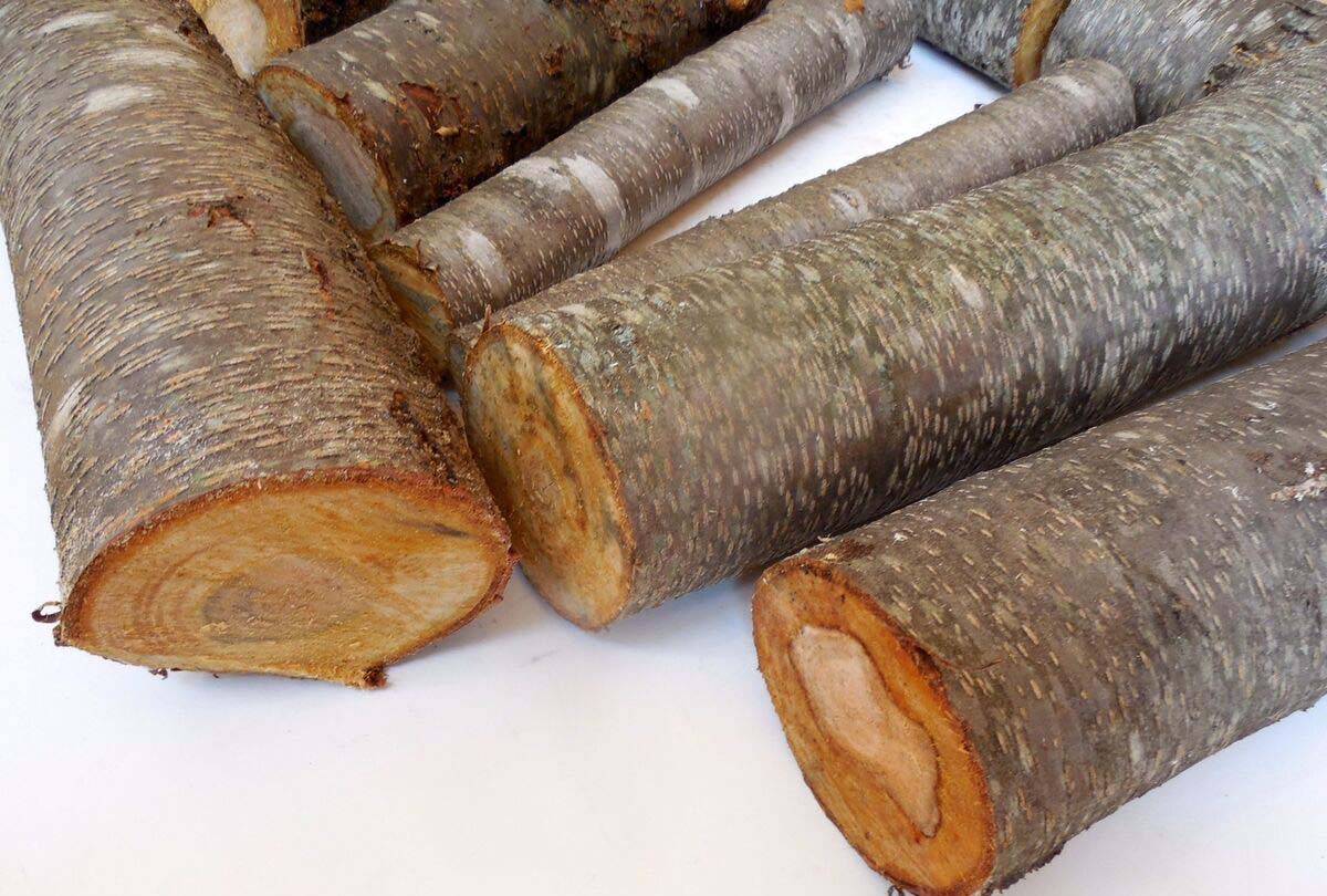 چوب گیلاس (14) چوب گیلاس
