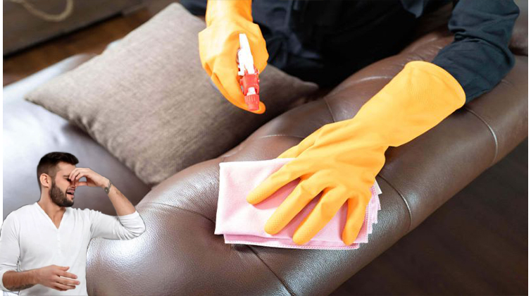 Leather_sofa (8) بوی بد مبل
