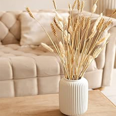 Mirror_and_console_decoration (5) گیاه دم خرگوشی