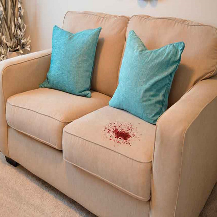 Washing_the_sofa (6) لکه خون