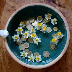 haft_sin_table (5) سکه