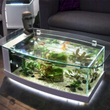 Aquarium _ table (5) جلو مبلی