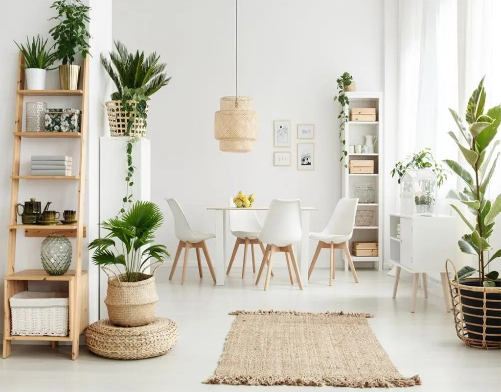 Houseplants (1) دکوراسیون داخلی با گیاه