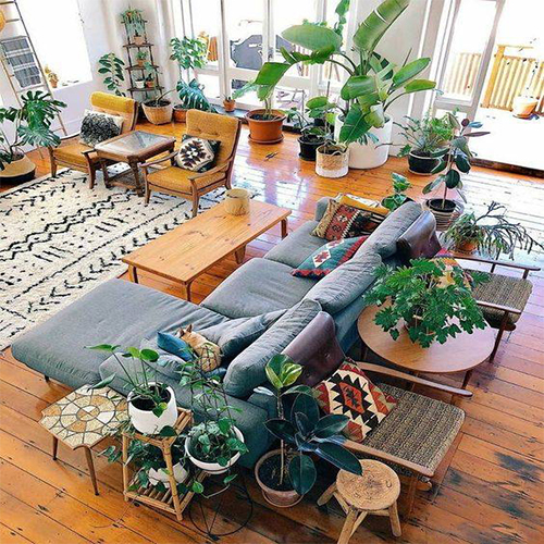 Houseplants (13) گلدان گل