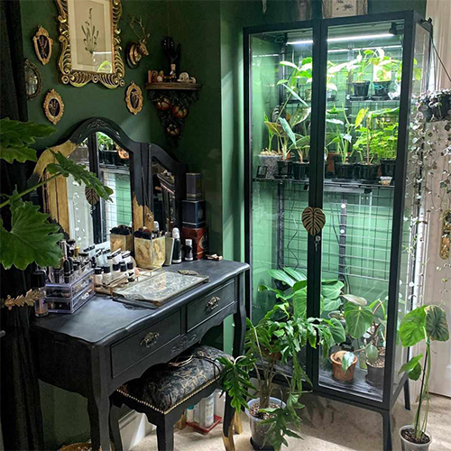 Houseplants (15) گلخانه خانگی