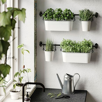 Houseplants (7) گلدان دیواری
