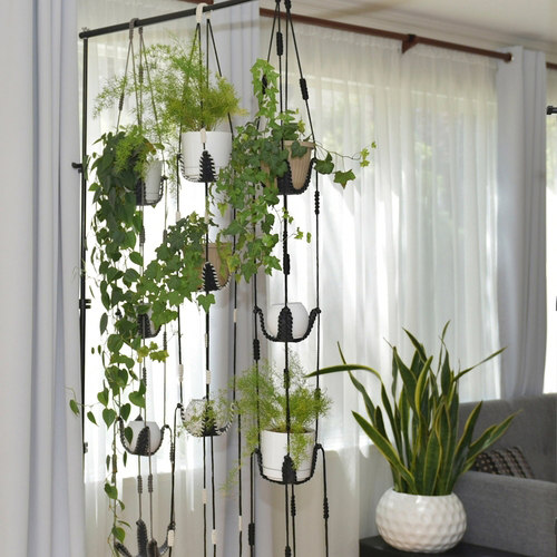 Houseplants (9) گلدان آویز