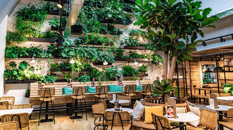 biophilic (1) گل و گیاه