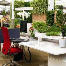 biophilic (20) اداره