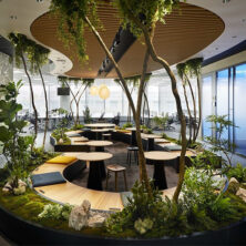 biophilic (21) بیوفیلیک