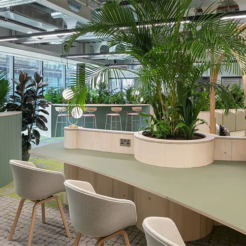 biophilic (3) مبلمان سفید