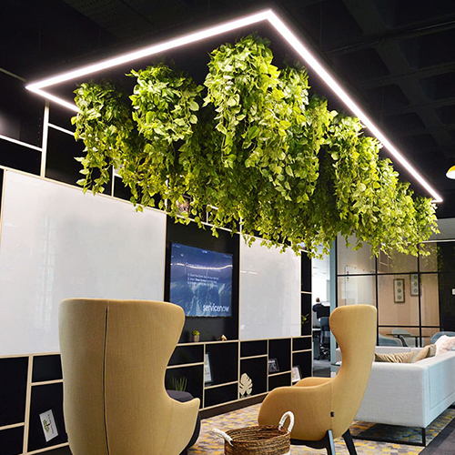 biophilic (8) بیوفیلیک