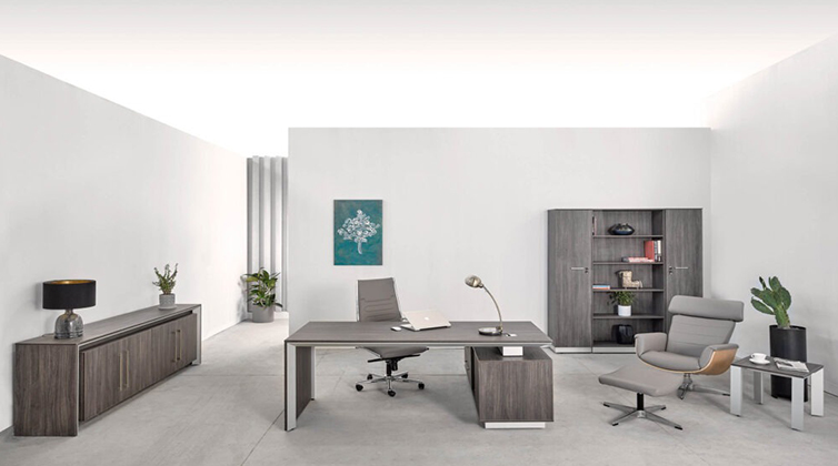 work_room (16) اتاق کار طوسی